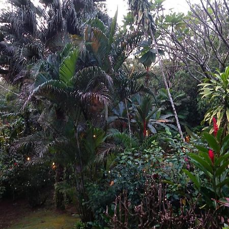 Dos Casitas Villa Ojochal Eksteriør billede