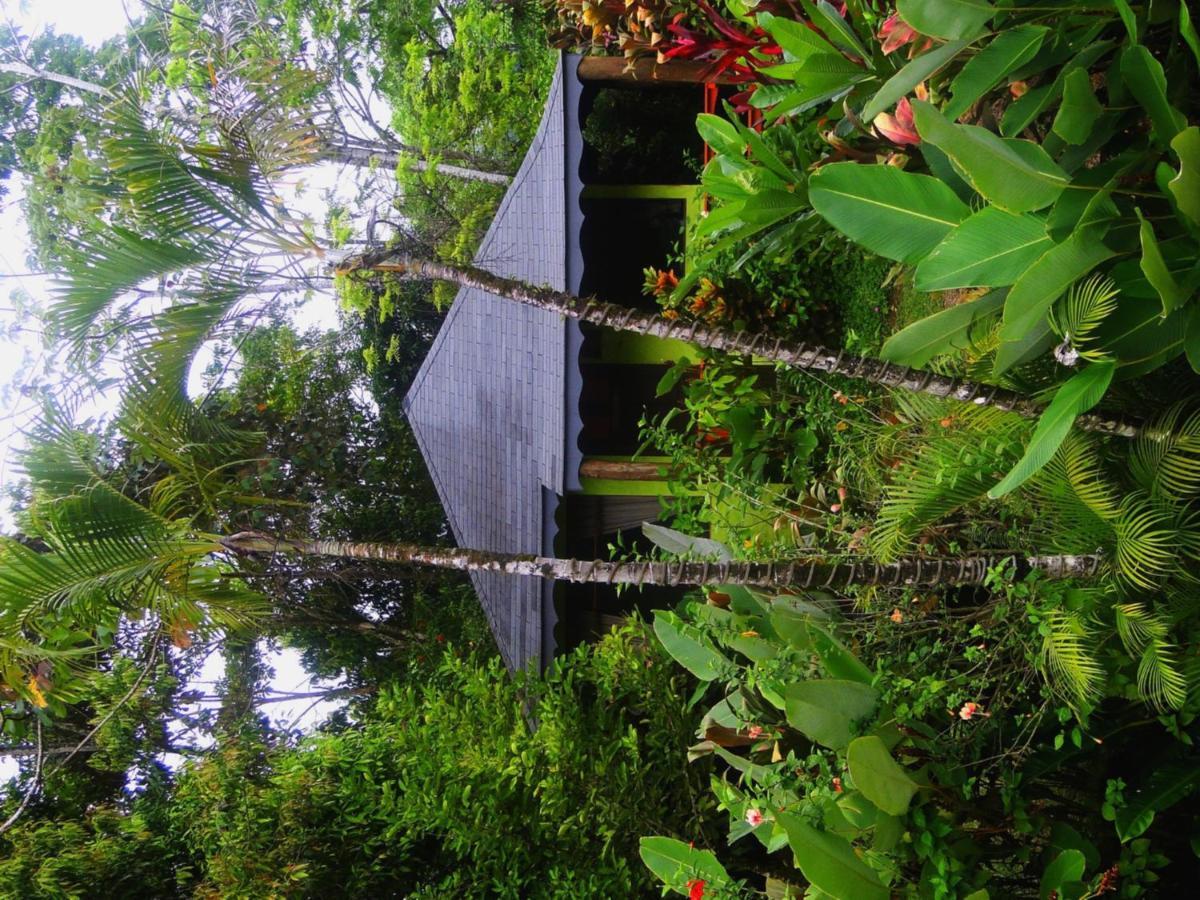 Dos Casitas Villa Ojochal Eksteriør billede