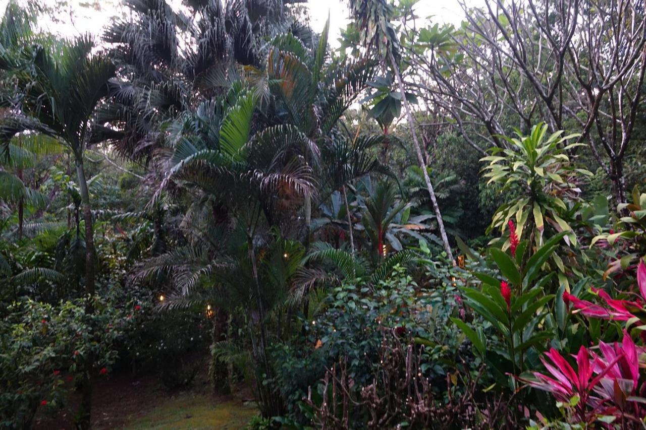 Dos Casitas Villa Ojochal Eksteriør billede