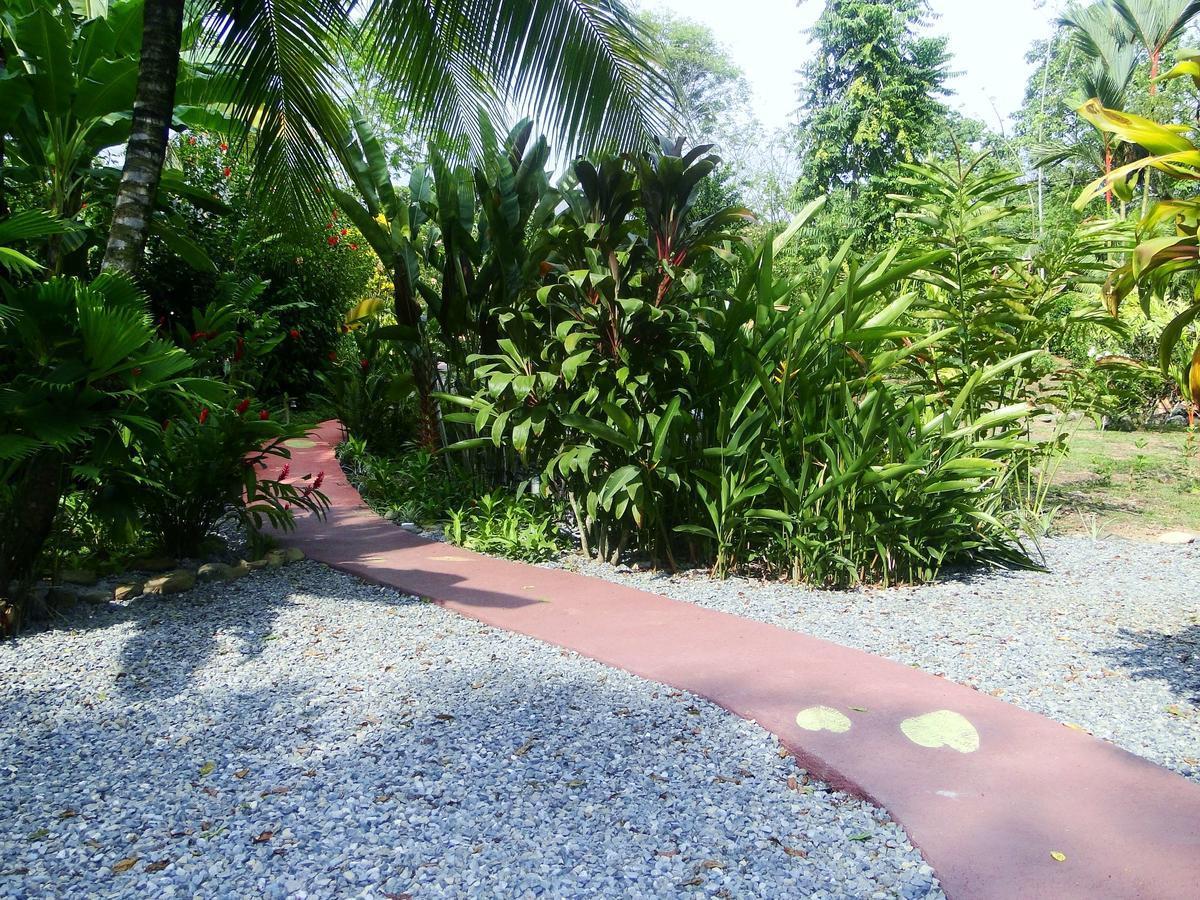 Dos Casitas Villa Ojochal Eksteriør billede